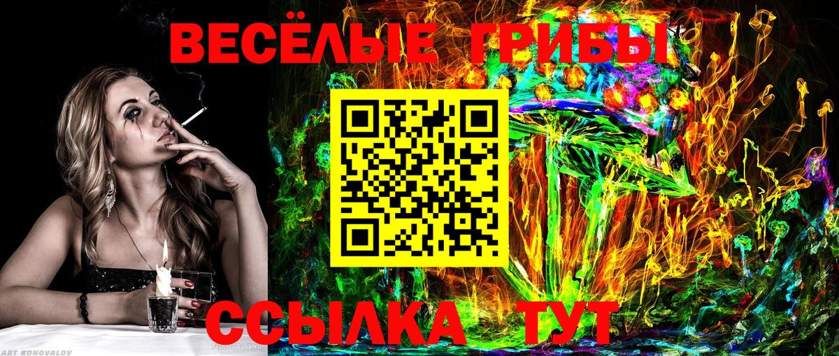 Галлюциногенные грибы GOLDEN TEACHER Сокол