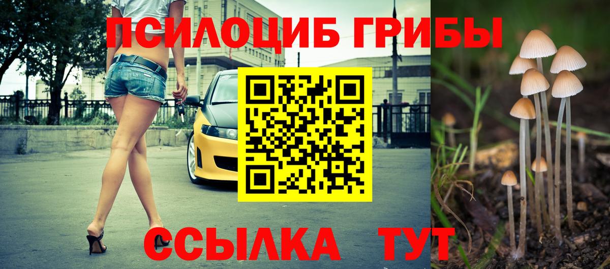 Псилоцибиновые грибы Magic Shrooms  Галлюциногенные грибы Cubensis  Сокол  Вход с VPN 